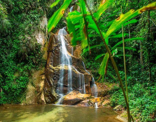 Catarata Pucayaquillo - Tarapoto