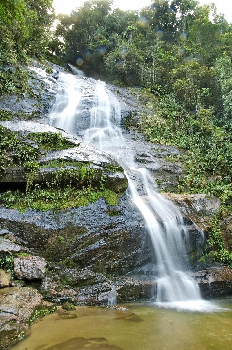 Floresta da Tijuca - Río de Janeiro